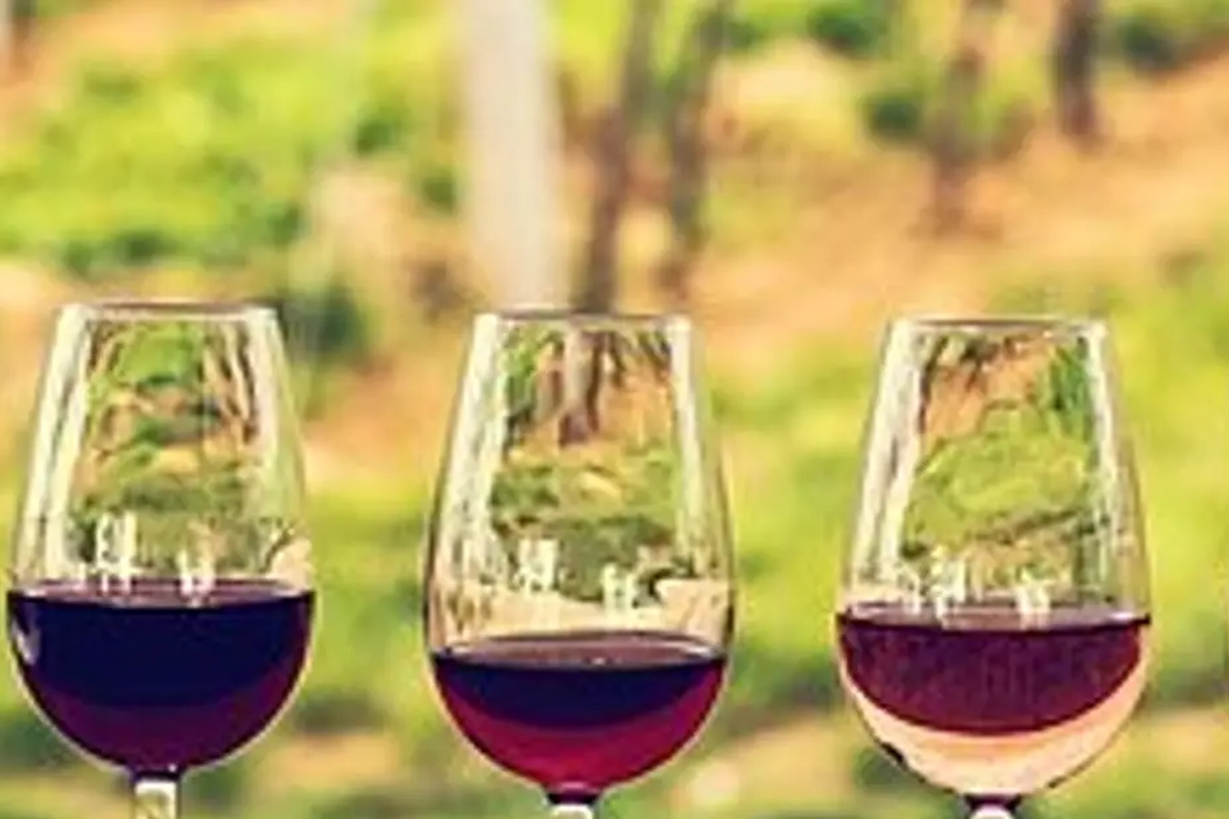 Saint Emilion Half-Day Trip with Wine Tasting & Winery Visit from Bordeaux